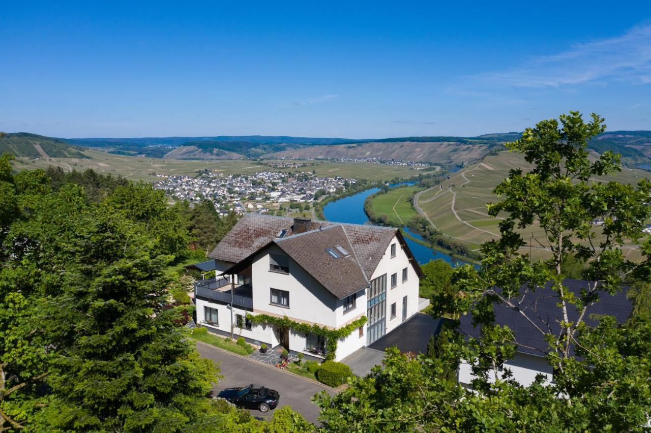 Gaestehaus-Weingut Loersch Leiwen Exteriör bild
