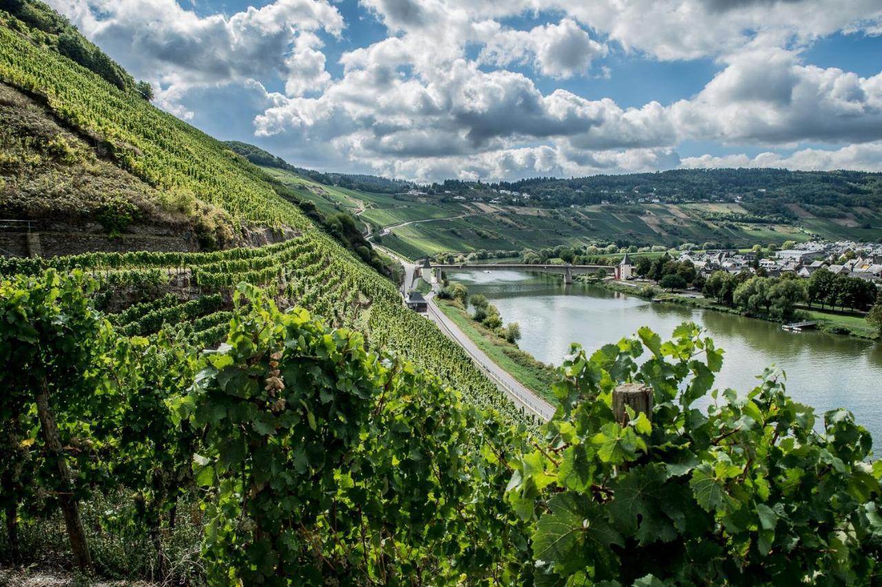 Gaestehaus-Weingut Loersch Leiwen Exteriör bild