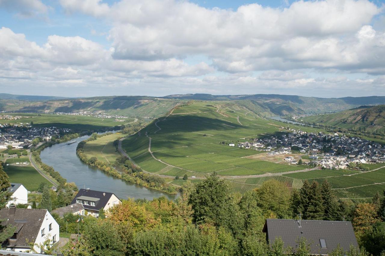 Gaestehaus-Weingut Loersch Leiwen Exteriör bild